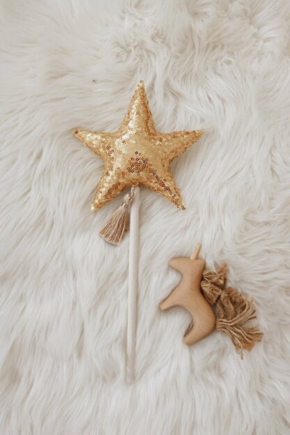 “Gold Sequins” Crown and Wand Magic Set - Moi Mili